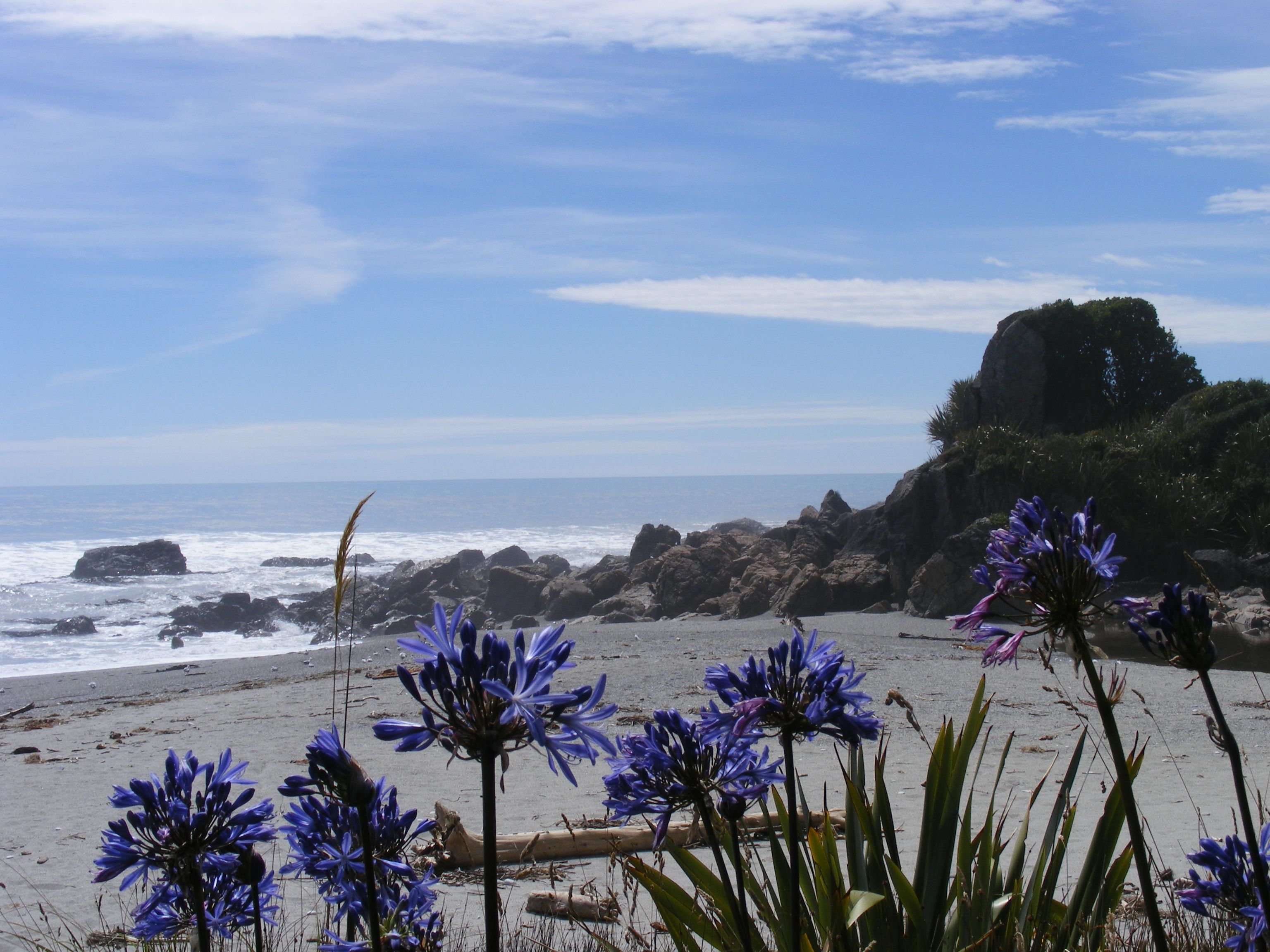 New Zealand Motorcycle Adventure: 11 Day South Island Spring Tour